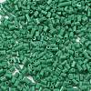 Two Cut Glass Seed Beads CSDB47-2