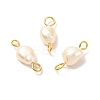Natural Cultured Freshwater Pearl Beads Links Connectors X1-PALLOY-JF00943-02-2