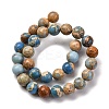 Dyed Natural Regalite/Imperial Jasper/Sea Sediment Jasper Beads Strands G-B124-C02-15-5