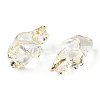 Transparent Resin Pendants RESI-E028-01G-09-3