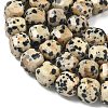 Natural Dalmatian Jasper Beads Strands G-C267-A14-4