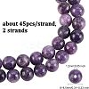 Olycraft 2 Strands Natural Lepidolite/Purple Mica Stone Beads Strands G-OC0003-28-2