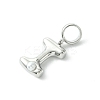 Rack Plating Brass with ABS Plastic Pearl European Dangle Charms KK-G501-02I-P-2