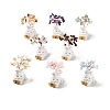 Natural Gemstone Tree Display Decorations DJEW-E007-01RC-1