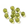 K9 Glass Imitation Austrian Crystal Beads GLAA-H024-17C-15-1