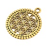 Tibetan Style Alloy Pendants AL-CBA1187-16AG-2