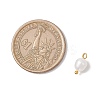 Natural Cultured Freshwater Pearl Rice Charms PALLOY-JF04187-02-3