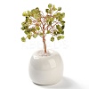 Natural Peridot Chips Tree of Life Decorations DJEW-C016-02I-1