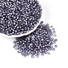 Silver Lined Glass Seed Beads SEED-T007-18A-08-1