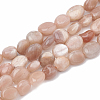 Natural Sunstone Beads Strands G-S331-8x10-011-1
