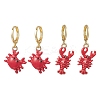 2 Pairs Zinc Alloy Leverback Earrings EJEW-JE06911-2
