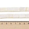 Natural Freshwater Shell Beads Strands BSHE-H018-03-4