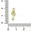 Brass Micro Pave Claer Cubic Zirconia Charms KK-H475-50G-02-3