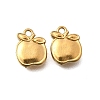 304 Stainless Steel Charms STAS-Z160-11G-01-1