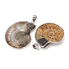 Fossil Pendants X-G-D051-1-5