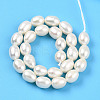 Natural Cultured Freshwater Pearl Beads Strands PEAR-N012-05Z-01-2