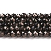 Electroplate Glass Beads Strands GLAA-H021-01B-FP06-2