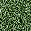 MIYUKI Delica Beads SEED-X0054-DB1786-4