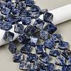 Natural Blue Spot Jasper Beads Strands G-L239-17-2