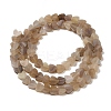 Handmade Lampwork Beads Strands LAMP-Q035-01O-2