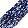 Natural Blue Spot Jasper Beads Strands G-T138-101-4