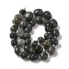 Natural Larvikite Beads Strands G-Q169-E05-01-3