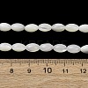 Natural Trochid Shell/Trochus Shell Beads Strands SH-CBA2978-09-4