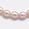 Natural Cultured Freshwater Pearl Beads Strands PEAR-K003-23C-01-3