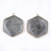 Natural Labradorite Pendants G-T112-19A-2