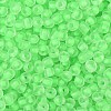 6/0 Luminous Glass Seed Beads SEED-NH0001-01H-4