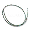 Natural African Turquoise(Jasper) Beads Strands G-H255-08-3