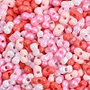 Glass Seed Beads SEED-K010-03P-2