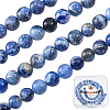 2 Strands Natural South Africa Sodalite Beads Strands G-BBC0001-02A-1