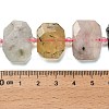 Natural Crazy Agate/Green Opal/Prehnite/Tree Agate Beads Strands G-H078-B24-01-5