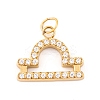 316 Stainless Steel Micro Pave Cubic Zirconia Pendants LS-STAS-K284-01K-G-1