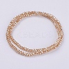 Electroplate Glass Beads Strands GLAA-F077-PL06-2
