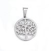 Non-Tarnish 304 Stainless Steel Pendants LS-STAS-P209-14P-3