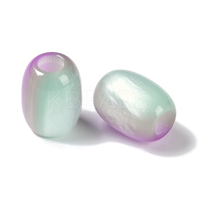Triple Color Resin European Beads RESI-F055-13G-1