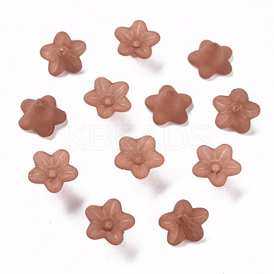 Transparent Acrylic Beads X-PL554-15-1