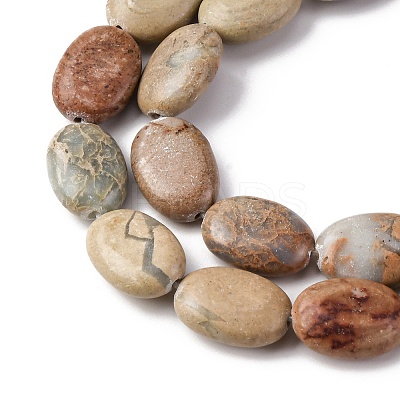 Natural Aqua Terra Jasper Beads Strands G-L624-E03-14x10mm-1