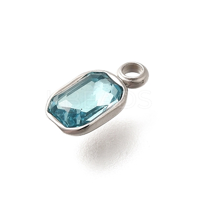 304 Stainless Steel Pendants STAS-Q346-03P-03-1