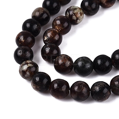 Natural Biotite Beads Strands G-Q616-01B-1