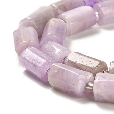 Natural Kunzite Beads Strands G-N327-06-36-1