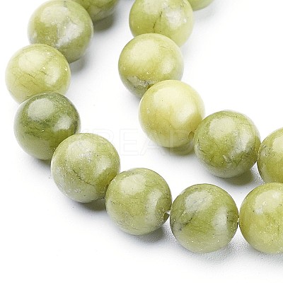 Natural Taiwan Jade Beads Strands X-GSR032-1