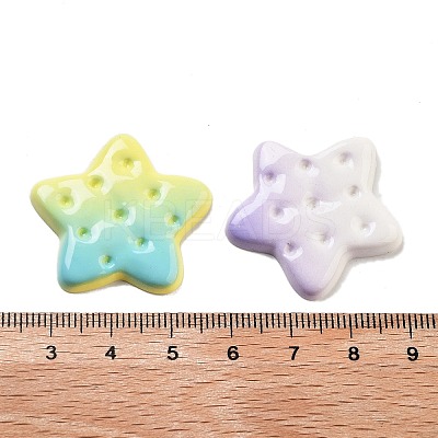 Gradient Color Opaque Resin Imitation Food Decoden Cabochons RESI-S04-05-1