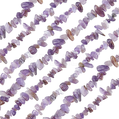 2 Strands Natural Amethyst Chip Beads Strands G-PA0001-57-1