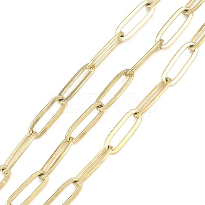 304 Stainless Steel Paperclip Chains CHS-P025-01G-1