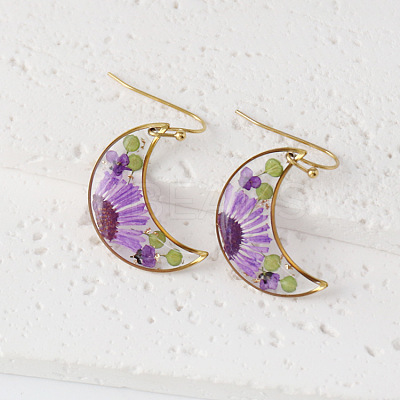 Moon 304 Stainless Steel Dangle Earrings WG43EF9-05-1