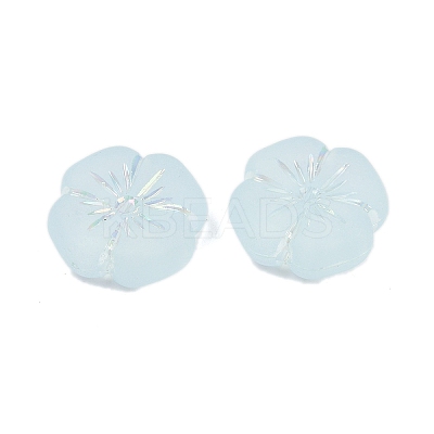 Frosted Transparent Acrylic Beads OACR-P029-19B-06-1