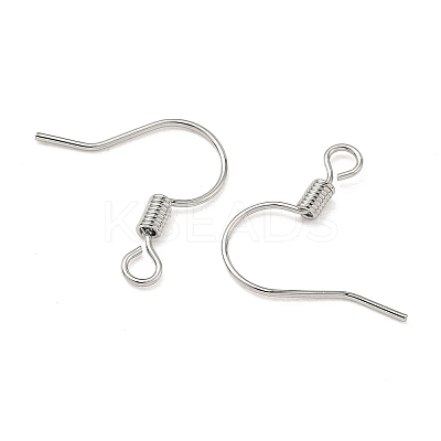 SHEGRACE Brass Earring Hooks XGR0140P-153P-1